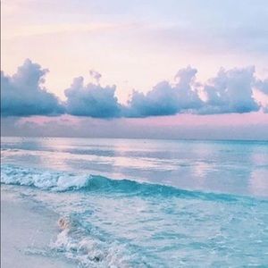 Meet your Posher, Bridget